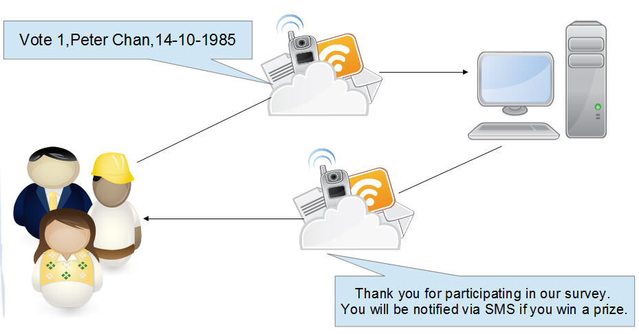 SMS Survey